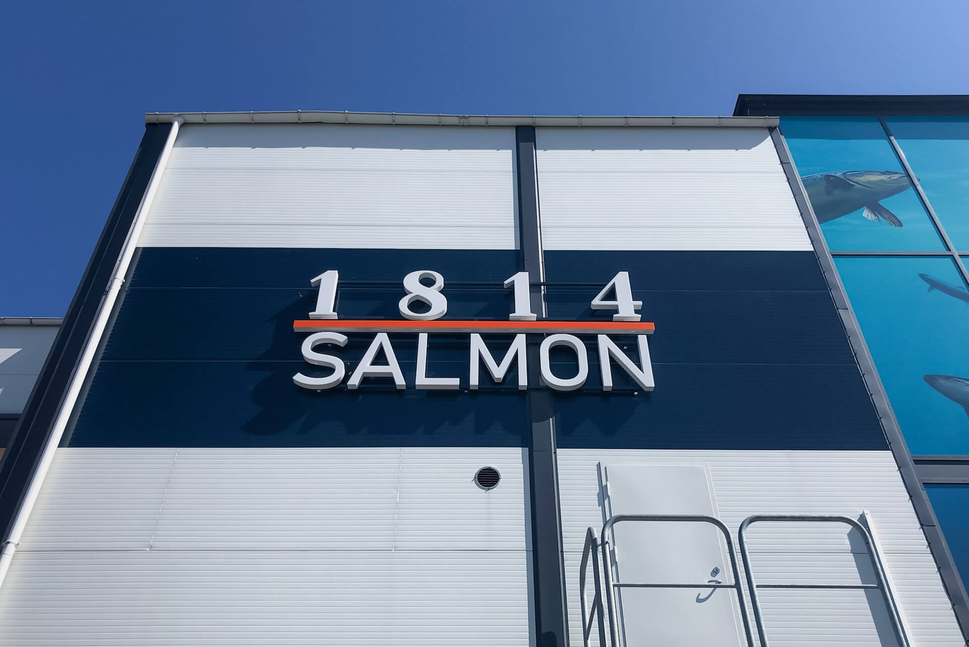 prosjekter-salmon-4